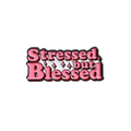 BAE PINS- Stressed But Blessed